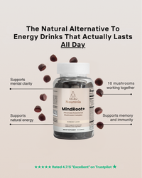 MindRoot+ Advanced Functional Mushroom Complex